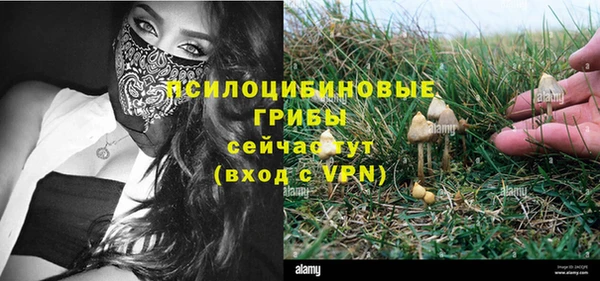 соль ск Михайловка