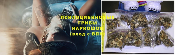 гидра Михайлов