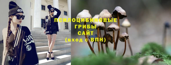 прущая мука Михайловск