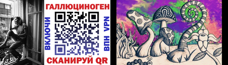 Галлюциногенные грибы мицелий  Магас 